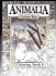 Animalia Coloring Book