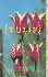 Tulip Affordable Series of Books for Gardeners