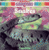 Snakes (Animal World)
