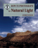 How to Photograph in Natural Light (How to Photograph Series)