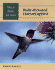 Ruby-Throated Hummingbird