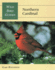 Wild Bird Guide: Northern Cardinal
