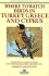 Where to Watch Birds in Turkey, Greece and Cyprus