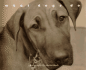 What Dogs Do