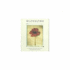 Deborah Schenck Blossoms Notecards