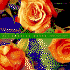 All American Roses