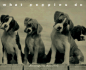 What Puppies Do
