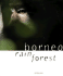 Borneo Rain Forest