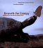 Beneath the Canopy: Wildlife of the Latin American Rain Forest