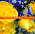 Cut-Flower Roses