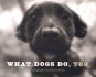 What Dogs Do, Too