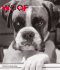 Woof