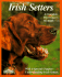 Irish Setters: Everything About Purchase Care Nutrition Breeding Behavior and Training