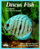 Discus Fish (Complete Pet Owner's Manual)