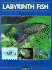 Labyrinth Fish (English and German Edition)