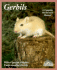 Gerbils: Everything About Purchase, Care, Nutrition, Diseases, Breeding, and Behavior/a Complete Pet Owner's Manual (Barron's Pet Care Series)