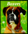 Boxers: Everything About Purchase, Care, Nutrition, Breeding, Behavior, and Training (Complete Pet Owner's Manual)