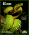 Boas: Everything About Selection, Care, Nutrition, Diseases, Breeding, and Behavior (Complete Pet Owner's Manual)