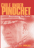 Chile Under Pinochet