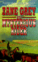 Mysterious Rider, the
