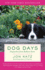 Dog Days: Dispatches From Bedlam Farm