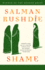 Shame: a Novel