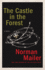 The Castle in the Forest: a Novel