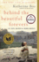 Behind the Beautiful Forevers