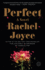 Perfect: a Novel