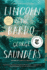 Lincoln in the Bardo: a Novel