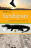 Sandspurs: Notes From a Coastal Columnist (the Florida History and Culture Series)