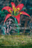 Florida Wildflowers: a Comprehensive Guide