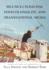 Multiculturalism, Postcoloniality, and Transnational Media (Rutgers Depth of Field Series)