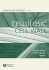 Characterization of the Cellulosic Cell Wall: Proceedings of a Workshop Cosponsored by the USDA Forest Service, Southern Research Station; The Society of Wood Science and Technology; And Iowa State University, August 25-27, 2003, Grand Lake, Colorado