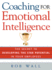 Coaching for Emotional Intelligence: the Secret to Developing the Star Potential of Your Employees