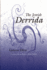 The Jewish Derrida (Library of Jewish Philosophy Series)