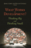 What Works in Development? : Thinking Big and Thinking Small