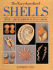 The Encyclopedia of Shells