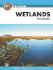 Wetlands (Ecosystem)