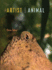 Artist Animal (Volume 25) (Posthumanities)