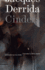 Cinders: Volume 28