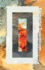 Elemental Ecocriticism: Thinking With Earth, Air, Water, and Fire