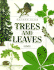 Trees and Leaves (Nature Club S. )