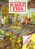 For Eagle Eyes Only (Super Sleuth Puzzles Series)