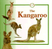 The Kangaroo (Life Cycles)