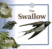 The Swallow (Life Cycles)