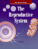 The Reproductive System: Injury, Illness and Health (Body Focus: the Science of Health, Injury and Disease)