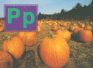 Pp