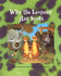 Why the Leopard Has Spots Sb (Pair-It-Books)
