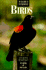The Field Guide to Photographing Birds (Center for Nature Photography Series)